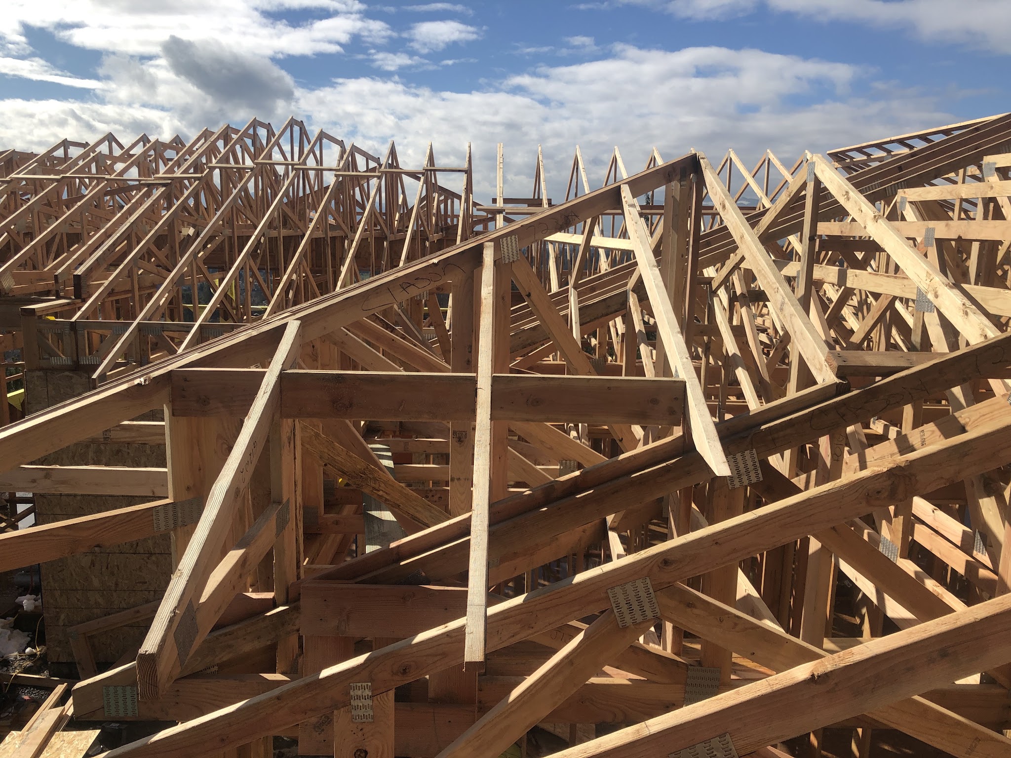 Roof trusses framed on a new structure